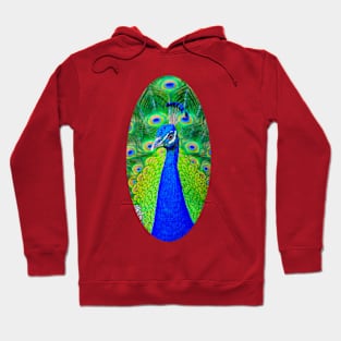 Peacock Style Hoodie